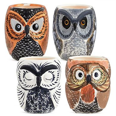 Ceramic Succulent Planters With Owl Designs DIY Paint Set of 4