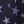 Navy Stars
