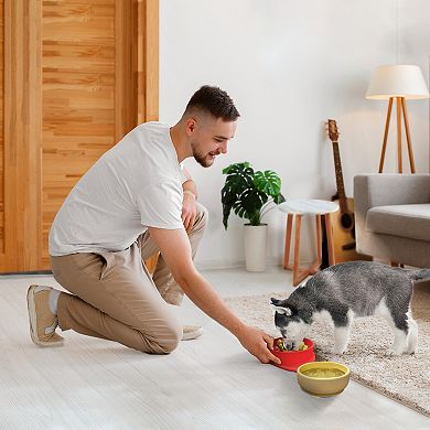 Precious Tails Red Small Strawberry Shaped Silicone Pet Bowl with Non-Slip Suction Base