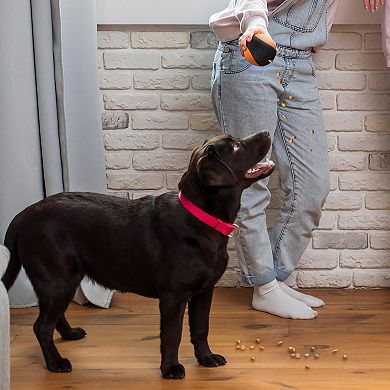 Precious Tails Pilot & Scout Chew N Play Treat Dispensing Dog Toy