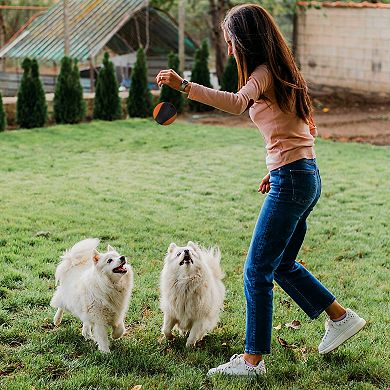 Precious Tails Pilot & Scout Chew N Play Treat Dispensing Dog Toy