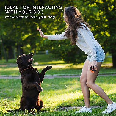 Precious Tails Pilot & Scout Chew N Play Treat Dispensing Dog Toy