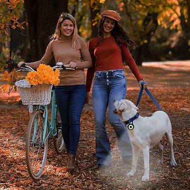 Precious Tails Pilot & Scout Clip-Brite LED Safety Light for Pets