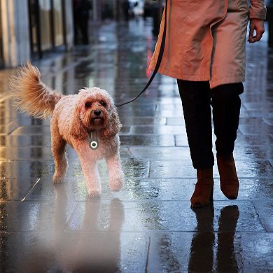 Precious Tails Pilot & Scout Clip-Brite LED Safety Light for Pets