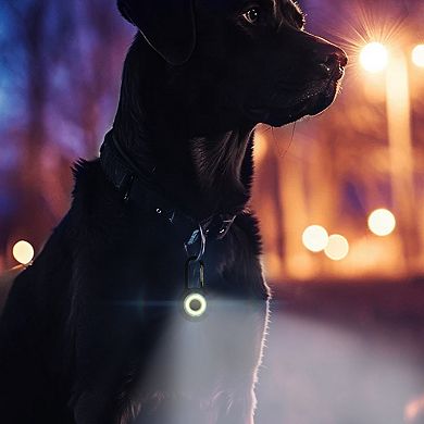 Precious Tails Pilot & Scout Clip-Brite LED Safety Light for Pets