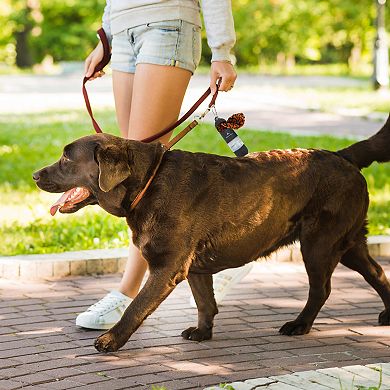 Precious Tails Pilot & Scout Sani N Bag Dog Waste Bag Dispenser with Built-In Hand Sanitizer Compartment