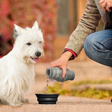 Precious Tails Feed N Sip 2-Piece Collapsible Dog Bowl & Water Bottle Set