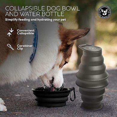 Precious Tails Feed N Sip 2-Piece Collapsible Dog Bowl & Water Bottle Set