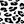 Black Leopard