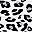 Black Leopard