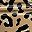 Brown Leopard