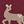 Berry Deer