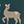 Green Deer