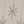 White Snowflake Star