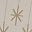 White Snowflake Star