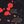 Black Red Multi