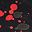 Black Red Multi
