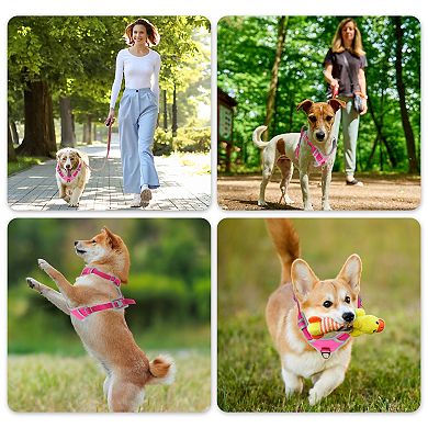Dog Harness, Reflective Dog Harness, Adjustable Dog Vest Harness, Double Layer Easy Control Rose Red