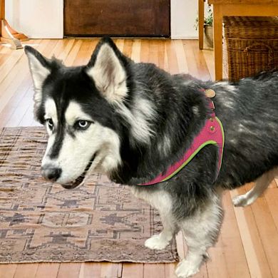 Pet Dog Step-in Harness