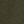 Dark Green Solid