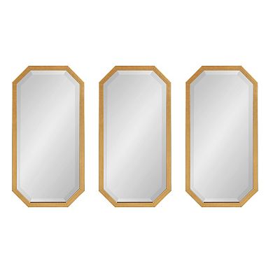 Laverty Octagon Accent Mirror Set