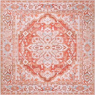 Asa Ornate Medallion Machine-Washable Area Rug
