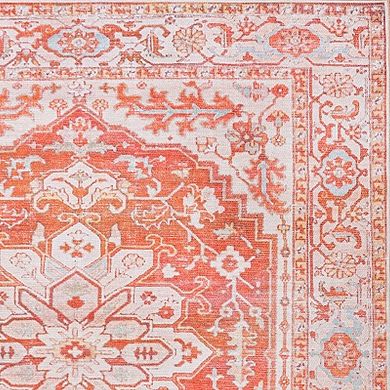 Asa Ornate Medallion Machine-Washable Area Rug