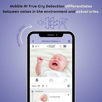 Hubble Connected AI Vision Pro 2K UHD Baby Monitor