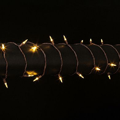 Vickerman 50-Light Warm White LED Christmas Light Strand - 25'