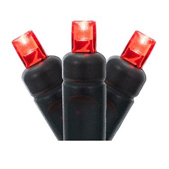 Vickerman 100-Light Wide Angle LED Lights Set of 50' Christmas Light Strand