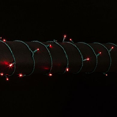 Vickerman 100-Light Wide Angle LED Lights Set of 50' Christmas Light Strand