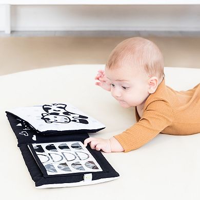 Pearhead Learning Kit for Babies Newborn-6 Months