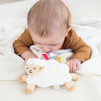 Pearhead Learning Kit for Babies Newborn-6 Months