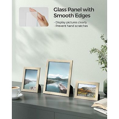 Picture Frames, Collage Photo Frames, Clear Glass Front Set Of 10