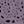 Dusty Lavender