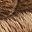 Light Taupe
