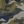 Green Olive Camo
