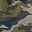 Green Olive Camo
