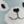 Critter