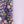 Floral Field Purple