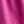 Magenta Daisy