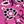 Magenta Daisy