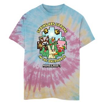 Boys 8-20 Minecraft Spring Has Sprung Tie Dye Graphic Tee