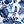 Blue Leaf