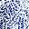 Blue White