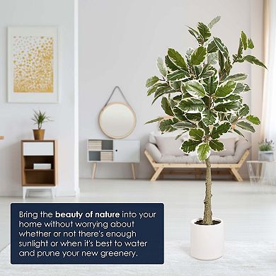 American Art Décor 60-in. Artificial Variegated Rubber Tree Plant Floor Decor