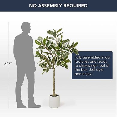 American Art Décor 60-in. Artificial Variegated Rubber Tree Plant Floor Decor
