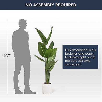 American Art Decor Artificial 60-in. Palm Tree Plant