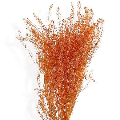 Dried Floral Arrangement with Pampas Grass and Textured Accents