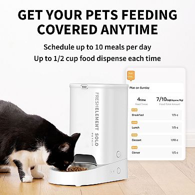 Fresh Element Solo Automatic Pet Feeder